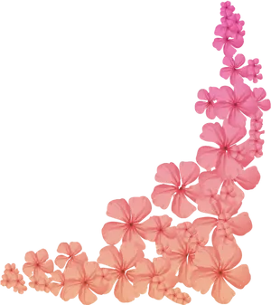 Pink Floral Corner Design PNG Image