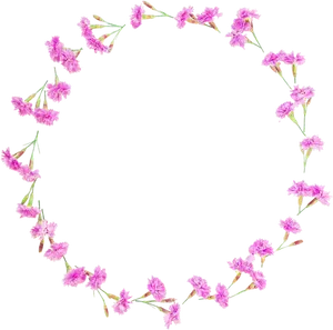 Pink Floral Round Frameon Black Background PNG Image