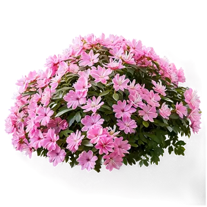 Pink Flower Bush Png Djg84 PNG Image