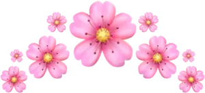 Pink_ Flowers_ Black_ Background PNG Image