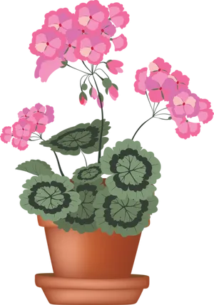 Pink Flowersin Terracotta Pot Illustration PNG Image