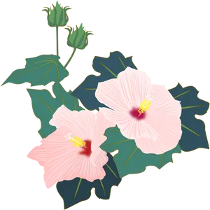 Pink Hibiscus Vector Illustration PNG Image