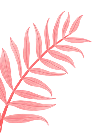 Pink Leaves Illustration PNG Image