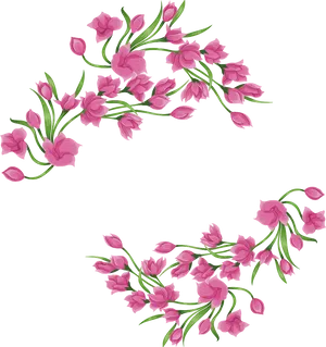 Pink Magnolia Blossoms Vector PNG Image