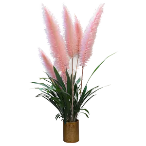 Pink Pampas Grass Png Sds PNG Image