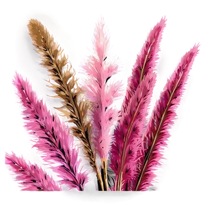 Pink Pampas Stems Png 06272024 PNG Image