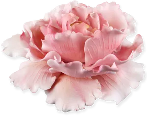 Pink Peony Flower Isolated PNG Image