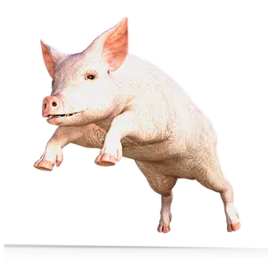 Pink Pig Transparent Background PNG Image