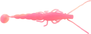 Pink Prawn Transparent Background PNG Image