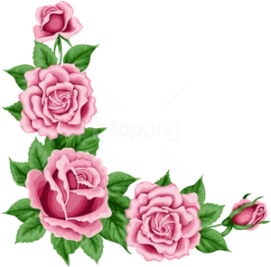 Pink Rose Corner Flower Border PNG Image