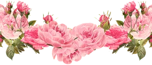 Pink Rose Floral Border PNG Image