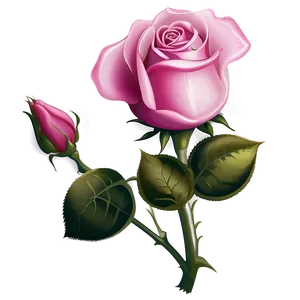 Pink Rose Vector Artwork Png 06292024 PNG Image