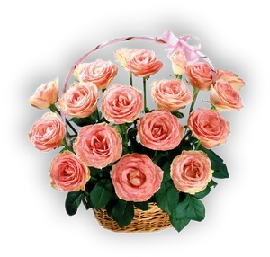 Pink Roses Basket Dia De La Madre PNG Image