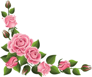 Pink Roses Floral Border Design PNG Image