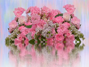 Pink Roses Reflection Arrangement PNG Image