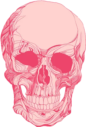 Pink Skull Illustration PNG Image