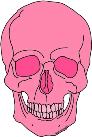 Pink Skull Illustration PNG Image