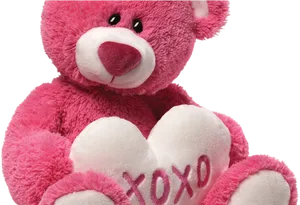 Pink Teddy Bear X O X O PNG Image