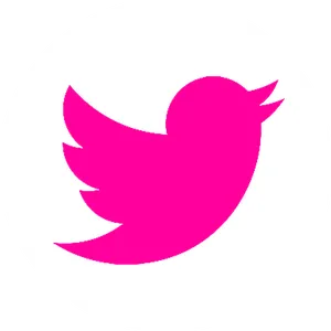 Pink Twitter Logo Circle PNG Image