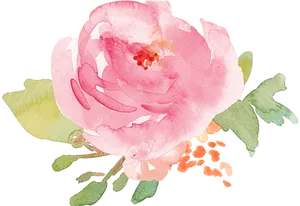 Pink Watercolor Flower Illustration PNG Image