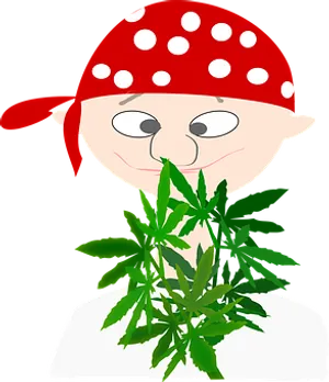 Pirate Cartoonwith Cannabis Leaf PNG Image