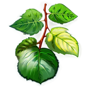 Plant Photosynthesis Process PNG 32 PNG