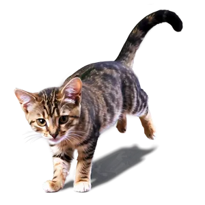 Playful Cat Png Sxr PNG Image