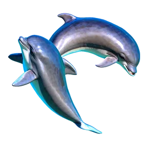 Playful Dolphins Png 06112024 PNG Image