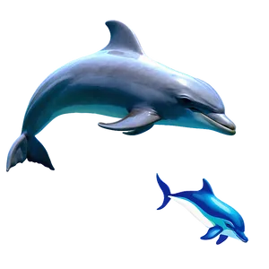 Playful Dolphins Png 06112024 PNG Image