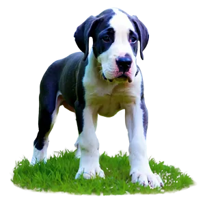 Playful Great Dane Png Xxq PNG Image