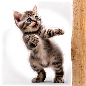 Playful Grey Kitten Png Xfn29 PNG Image