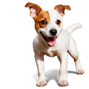 Playful Jack Russell Png 11 PNG Image