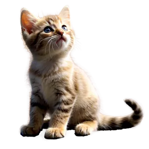 Playful Kitten Image Png 38 PNG Image