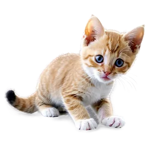 Playful Kitten Png Pgw PNG Image