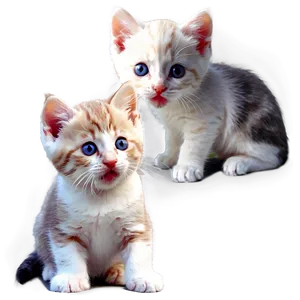 Playful Kittens Image Png 06282024 PNG Image