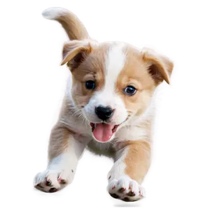 Playful Puppy PNG 35 PNG