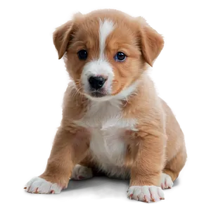 Playful Puppy PNG Qqp12 PNG
