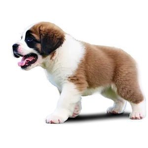 Playful Saint Bernard Puppies Png 06252024 PNG Image