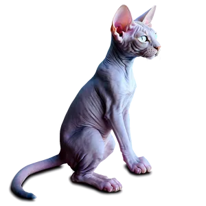 Playful Sphynx Cat Character Png 30 PNG Image