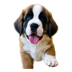 Playful St Bernard Pup Png Hiw74 PNG Image