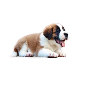 Playful St Bernard Pup Png Hya60 PNG Image