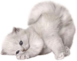 Playful White Kitten Lying Down PNG Image