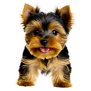 Playful Yorkie Puppy Png Uvi PNG Image