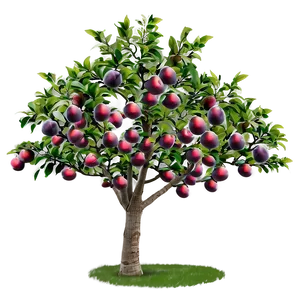 Plum Tree Png Jdc PNG Image