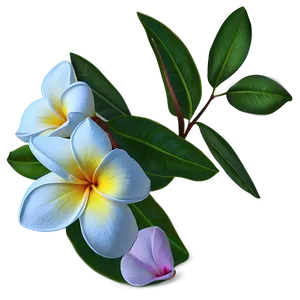 Plumeria Illustration Png Joi61 PNG Image