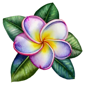 Plumeria Watercolor Png Bfd PNG Image