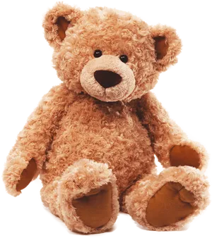 Plush Teddy Bear Isolated PNG Image