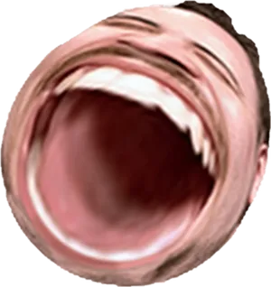 Pog Champ Emote Distorted PNG Image