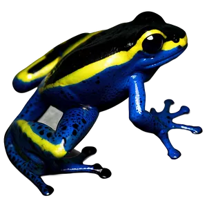 Poison Dart Frog C PNG Image