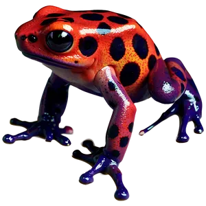 Poison Dart Frog Png 88 PNG Image